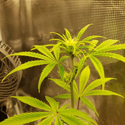 Geloctane  growlog photo: It looks like they took the feeding well