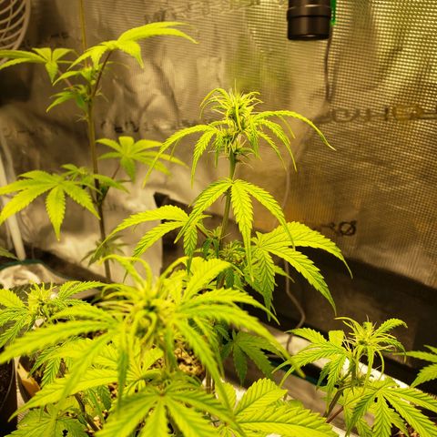 Geloctane  growlog photo: It looks like they took the feeding well