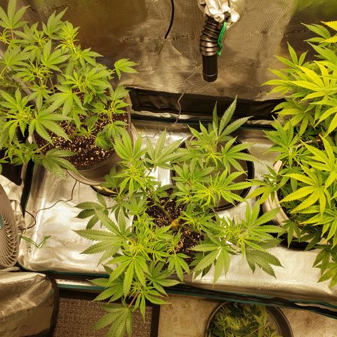 Geloctane  growlog photo: Morning 