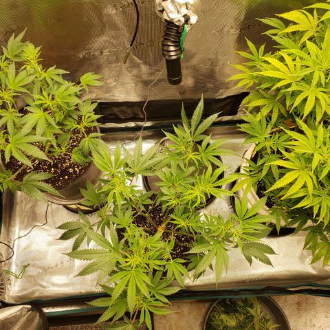 Geloctane  growlog photo: Morning 