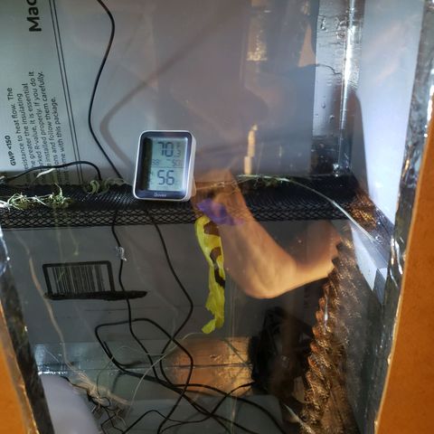 Geloctane  growlog photo: I have to clean up all the wires put some racks secure them Definitely put some type of decal or something on it paint it  It's getting there it's my drying/curing chamber which is holding steady temperatures and humidity levels 