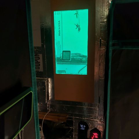 Geloctane  growlog photo: Installed second motor for drying Chandelier and installed LED lights