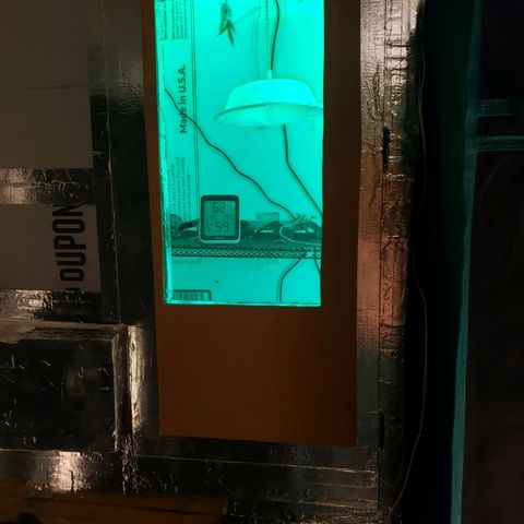 Geloctane  growlog photo: It's kind of ghetto for now but it will work until I see how it works