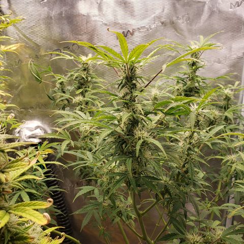 Geloctane  growlog photo: Freed up some space