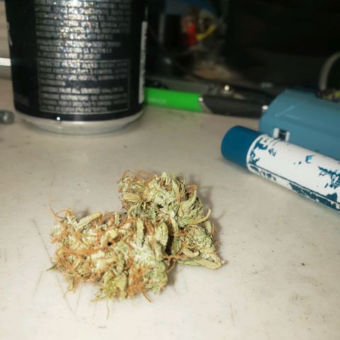 Geloctane  growlog photo: Tested super skunk at 9:30am it burns nicely and taste pretty good not bad 