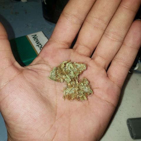 Geloctane  growlog photo: Tested super skunk at 9:30am it burns nicely and taste pretty good not bad 