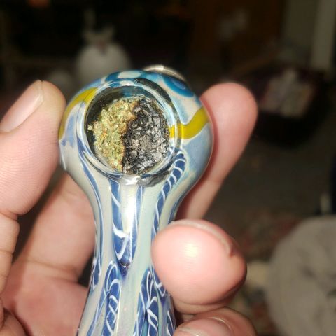 Geloctane  growlog photo: For being cured only 3 days it Burns nicely and does not taste bad it tastes good actually After 2 weeks it should be great