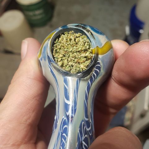 Geloctane  growlog photo: It's kind of hard to tell which is dispensary weed and which is my weed 🤔 