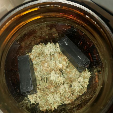 Geloctane  growlog photo: I hope that stinky skunk smell comes back again It's not as potent right nowSitting at around 59% humidity sitting at around 59% humidit