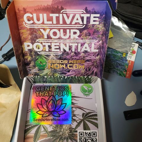 Geloctane  growlog photo: I ordered a couple seeds from seeds here now  Looking for that dead roadkill skunk smell 