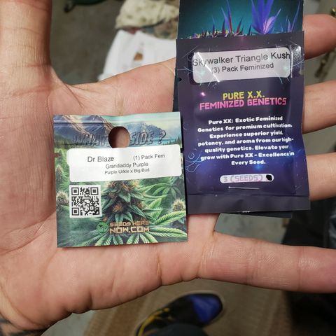 Geloctane  growlog photo: I ordered a couple seeds from seeds here now  Looking for that dead roadkill skunk smell 