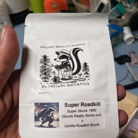 Geloctane  growlog photo: I ordered a couple seeds from seeds here now  Looking for that dead roadkill skunk smell 
