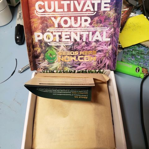Geloctane  growlog photo: I ordered a couple seeds from seeds here now  Looking for that dead roadkill skunk smell 