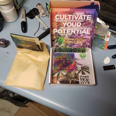Geloctane  growlog photo: I ordered a couple seeds from seeds here now  Looking for that dead roadkill skunk smell 