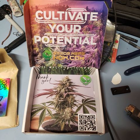 Geloctane  growlog photo: I ordered a couple seeds from seeds here now  Looking for that dead roadkill skunk smell 