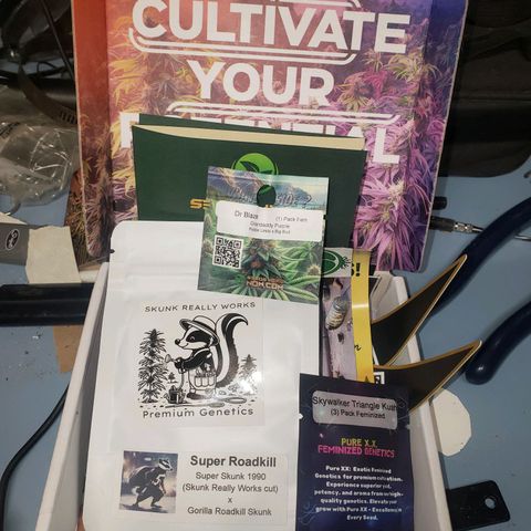 Geloctane  growlog photo: I ordered a couple seeds from seeds here now  Looking for that dead roadkill skunk smell 
