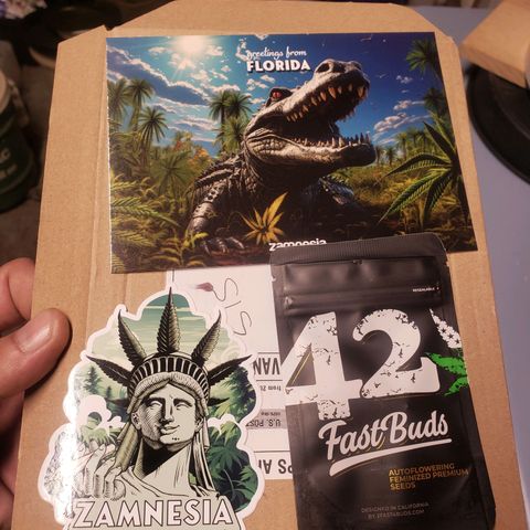 Geloctane  growlog photo: Zamnesia seeds horrible pack job and no freebie only a sticker gg4 Autoflower 