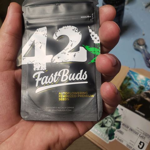 Geloctane  growlog photo: Zamnesia seeds horrible pack job and no freebie only a sticker gg4 Autoflower 