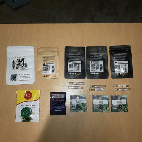 Geloctane  growlog photo: 50 seed mix autoflowers and photo period stock 