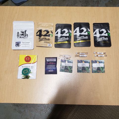 Geloctane  growlog photo: 50 seed mix autoflowers and photo period stock 