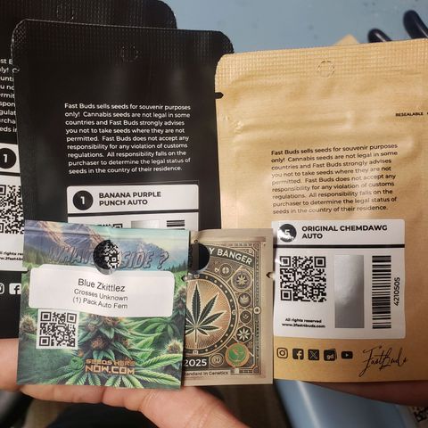 Geloctane  growlog photo: 50 seed mix autoflowers and photo period stock 