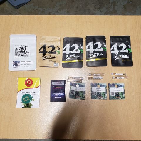 Geloctane  growlog photo: 50 seed mix autoflowers and photo period stock 
