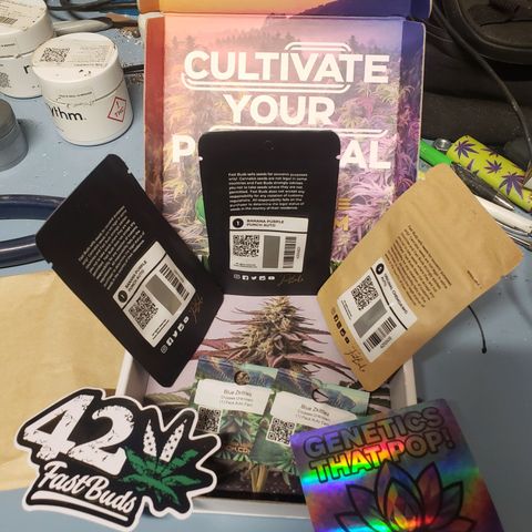 Geloctane  growlog photo: 50 seed mix autoflowers and photo period stock 