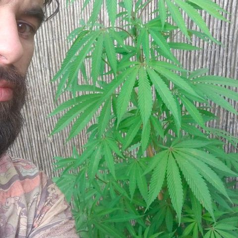 Ak47 growlog timeline photo