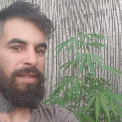 Ak47 growlog timeline photo