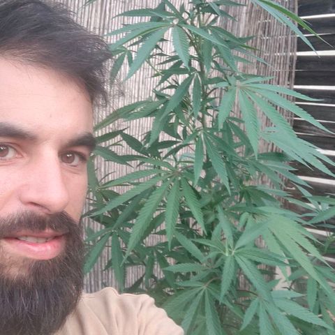 Ak47 growlog timeline photo
