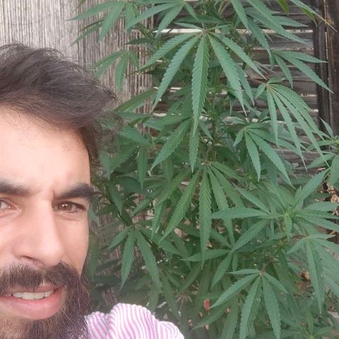Ak47 growlog timeline photo