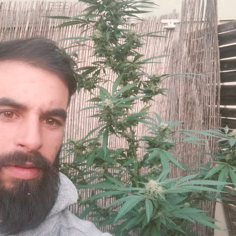 Ak47 growlog timeline photo