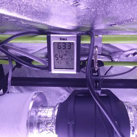Unknown strain growlog timeline photo