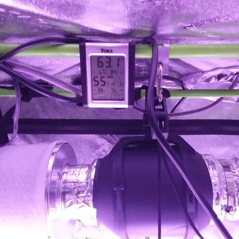 Unknown strain growlog timeline photo