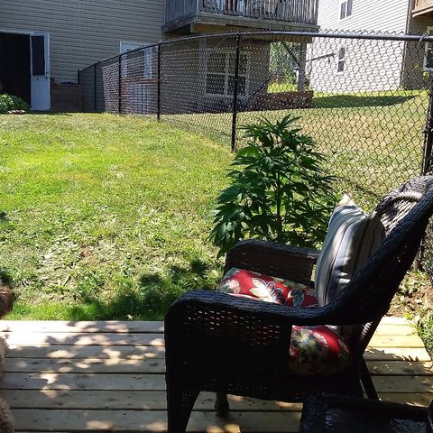 Unknown strain growlog photo: Shift to lower deck for more afternoonand evening sun