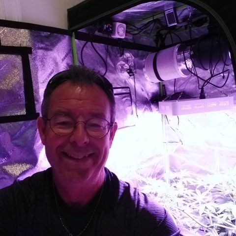 Unknown strain growlog timeline photo