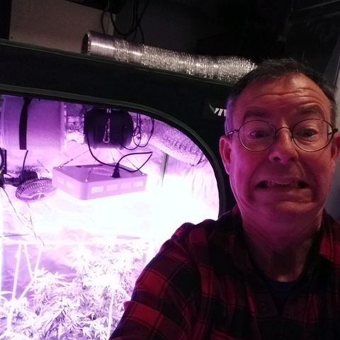 Unknown strain growlog timeline photo