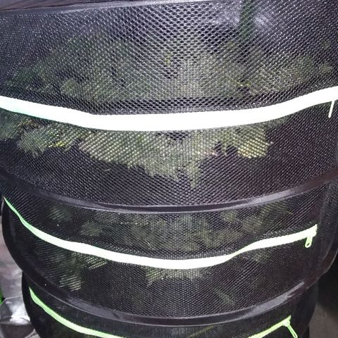 Unknown strain growlog timeline photo