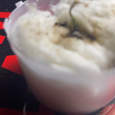 Luh Treski growlog timeline photo