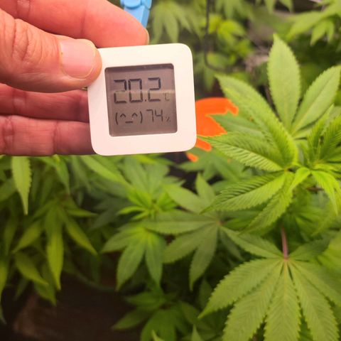 Exodus growlog timeline photo