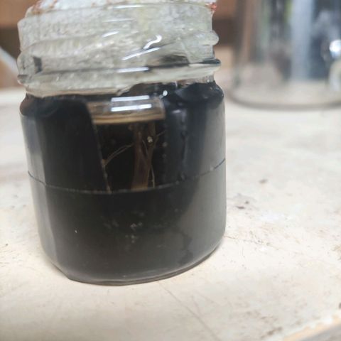 Espresso  growlog photo: Still looking great. The late clone in the water prop jar is finally getting better root structure. But the weekend, she will be in Coco core 😁