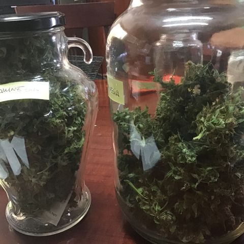 MCAMH #1 growlog photo: 45 + 40 = 85 gr