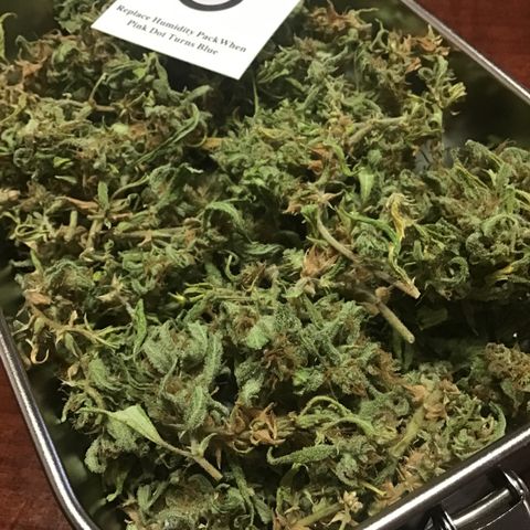 WCAPF #1 growlog timeline photo