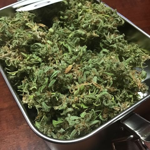 WCAPF #1 growlog timeline photo