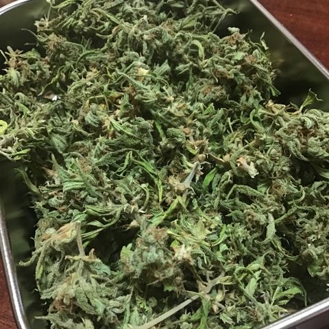 WCAPF #1 growlog timeline photo