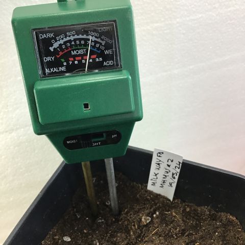 MHMW #2 growlog timeline photo