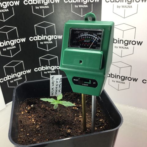 MHMW #2 growlog timeline photo