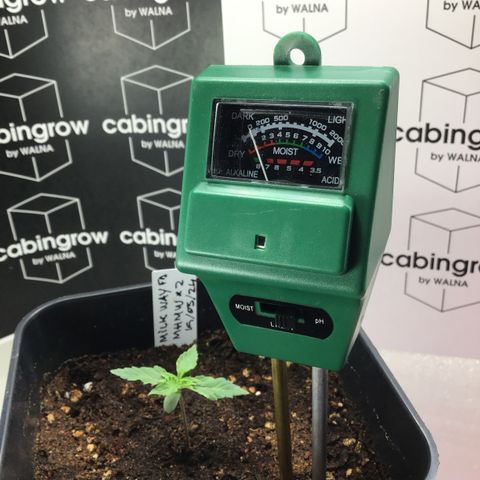 MHMW #2 growlog timeline photo