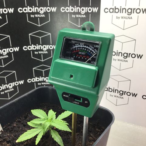 MHOR #5 growlog timeline photo