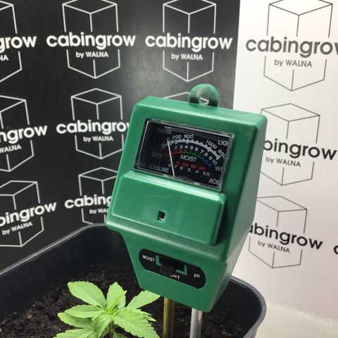 MHOR #5 growlog timeline photo
